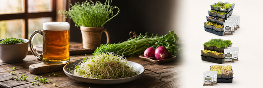 Birra e germogli in un abbinamento di food pairing