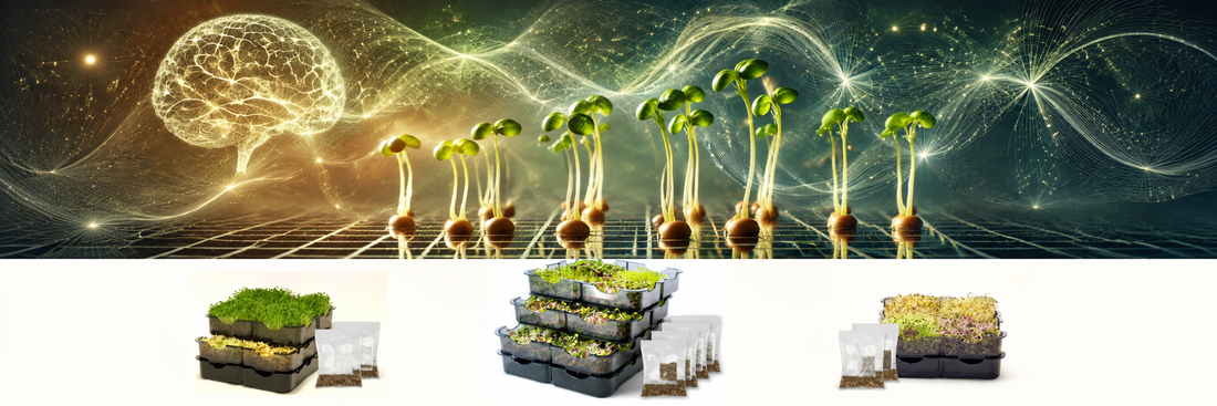 Germogli e natura come ispirazione per creatività e biomimicry