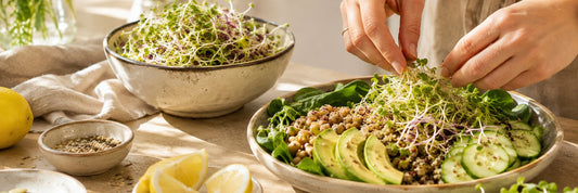 Germogli freschi aggiunti a un piatto vegetale in una cucina luminosa