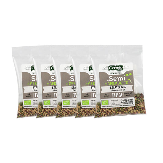 Starter Mix – Pack da 5 confezioni monodose da 32 g