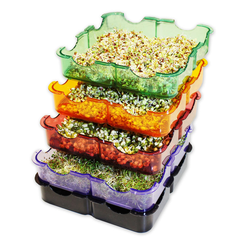Germogliatore De Luxe Multicolor GermoglioSì®