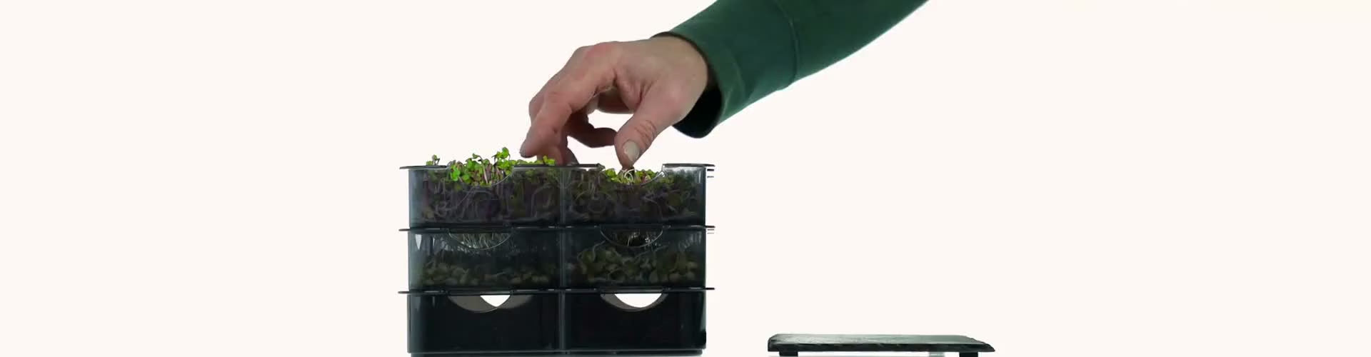 Carica il video: Una mano raccoglie germogli freschi coltivati nel Germogliatore GermoglioSì.
